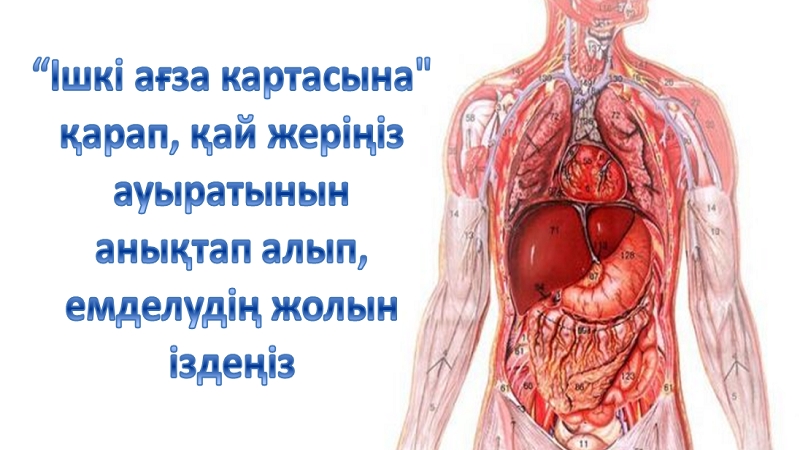 Іш киімдегі BBW порно фотосуреттері