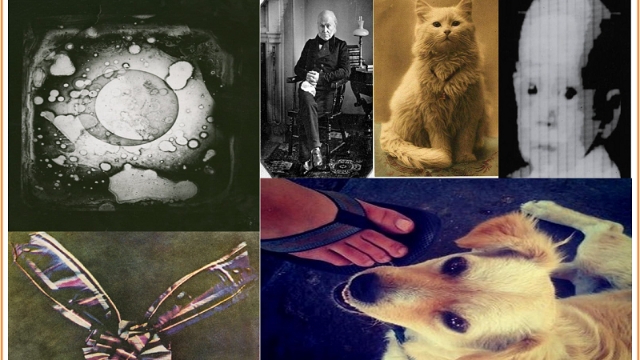 Ұлдың анасының үйдегі секс видеосы