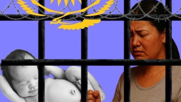 Жансұлу Дархамбаева бостандыққа шықты: Бұл — азаматтық қоғамның жеңісі!