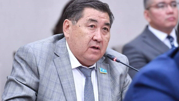 Ермұрат Бапи: Тоқаев үлкен елдің бір аймағын басқарып отырған жоқ