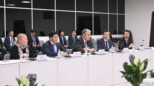 Казахстан и Германия обсудили перспективы сотрудничества в сфере туризма