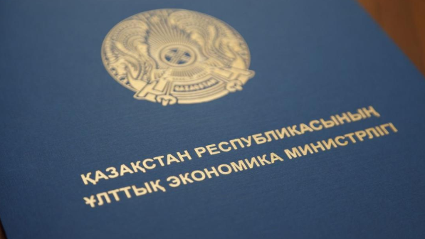 МНЭ: опубликованные списки ОКЭД обеспечат прозрачность и поддержку малого бизнеса  