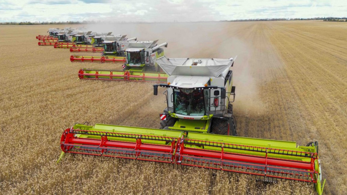 Ол жыныстық қатынас кезінде нәжісін алды (видео)