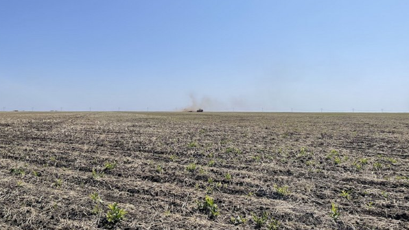 Ақмола облысында пайдаланылмаған жерлер мемлекетке қайтарылады