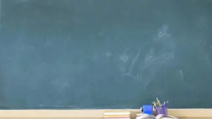 Север Казахстана уходит на дистанционку: в СКО и Костанайской области отменены уроки из‑за морозов