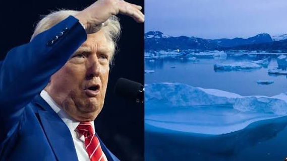 Трамп Гренландияны АҚШ құрамына қосуы мүмкін бе – сарапшы пікірі