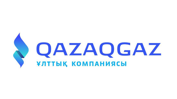Президент «QazaqGaz» компаниясына сын айтты